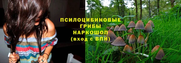 СК Алзамай
