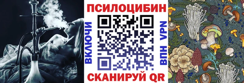 omg маркетплейс  даркнет сайт  Кемерово  Галлюциногенные грибы Psilocybine cubensis 